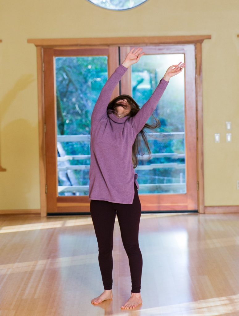 1 ½ hour individual sessions, sliding scale of $110 – $180
In Sebastopol at the Blue Pearl Temple, on private land, on Mondays & Fridays
& Berkeley at Spring Fall Studio, 2547 8th St #20, on the 2nd & 4th Wednesdays