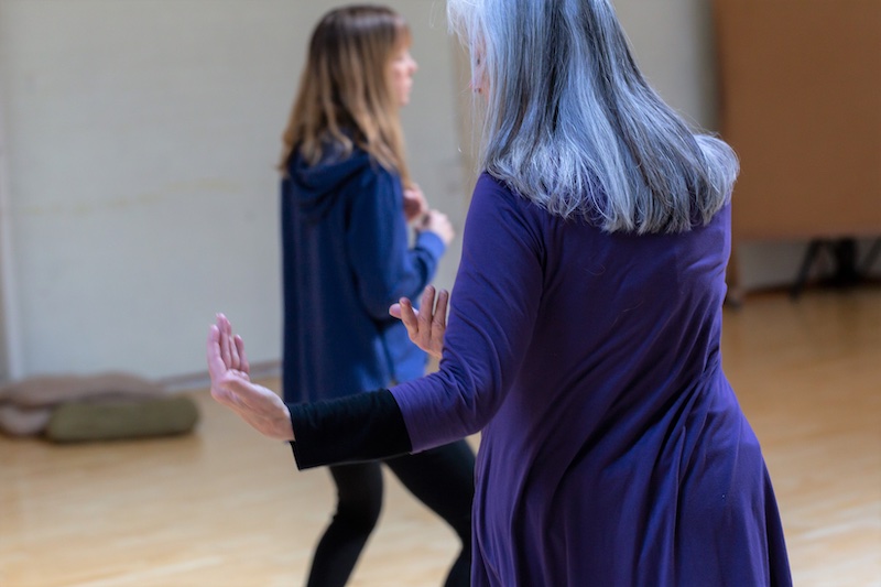For those who identify as women, new and experienced movers
By application, 10 Women Maximum, 7 Session Commitment:
October 4, 18, November 1, 15, December 6, January 3, 17
Sliding Scale: $245 – $455, monthly payment plans available
On private land in Sebastopol (studio address w/registration)